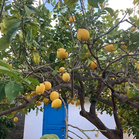 Il Nido Di Mortelle I * Messina